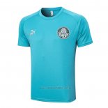 Camiseta de Entrenamiento Palmeiras 2023-2024 Verde