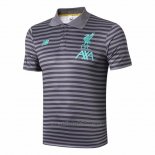 Camiseta Polo del Liverpool 2019-2020 Gris