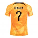 Camiseta del Paises Bajos Jugador Bergwijn 1ª Equipacion 2022