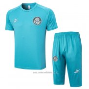 Chandal del Palmeiras Manga Corta 2023-2024 Verde - Pantalon Corto