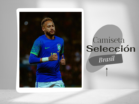 Camiseta Brasil 2022